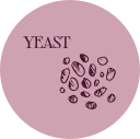 Yeast